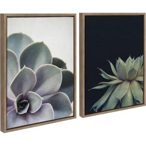 image:imageKate and Laurel Sylvie Succulent 5 and Succulent 8 Framed Canvas Wall Art Set by Emiko and Mark Franzen of F2Images 2 Piece Set 18x24 Gold Modern Botanical Wall Dcor