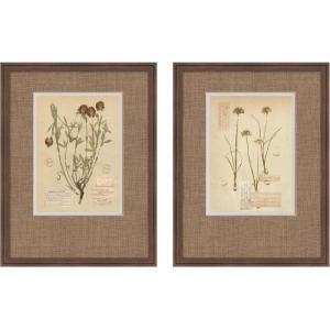image:imageKate and Laurel Vintage Botanical Hopsack Faux Mat 2 Piece Framed Wall Art Print Set by Corinna Buchholz of Piddix Florence Medium Brown Rustic Farmhouse Flower Art for Wall Decor