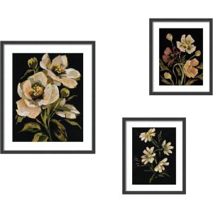 image:imageMoody Floral Hued 3 Piece Framed Wall Art Print Set by Annie Quigley