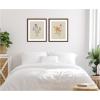 image:imageAQ Simple Blooms 2 Piece Framed Wall Art Print Set by Annie Quigley
