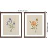 image:imageAQ Simple Blooms 2 Piece Framed Wall Art Print Set by Annie Quigley