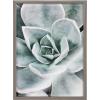 image:imageKate and Laurel Blake Botanical Succulent Plants 3 Framed Printed Glass Wall Art by The Creative Bunch Studio 18x24 Gray Boho Plant Art for Wall