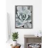 image:imageKate and Laurel Blake Botanical Succulent Plants 3 Framed Printed Glass Wall Art by The Creative Bunch Studio 18x24 Gray Boho Plant Art for Wall