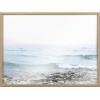 image:imageKate and Laurel Blake Waving Framed Printed Acrylic Wall Art by Emiko and Mark Franzen of F2Images 24x32 Natural Decorative Soft Ocean Wall Dcor
