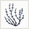 image:imageKate and Laurel Coastal Coral Seaweed Botanical 6 Framed Canvas Wall Art by The Creative Bunch Studio 22 x 22 Sylvie Beaded White Modern Contemporary Abstract Beach Nature Art for Wall Decor