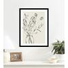 image:imageKate and Laurel Framed Wall Art Print SB Protea Sketch No 2 by Sara Berrenson 19 x 25 Svelte Noir Black Frame Modern Contemporary Still Life Art for Wall DecorSvelte Noir Black