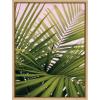 image:imageKate and Laurel Sylvie Her Majesty 2 Framed Canvas Wall Art by Alicia Bock 18x24 Natural Beach Palm Frond Tree Art for Wall
