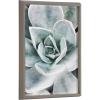 image:imageKate and Laurel Blake Botanical Succulent Plants 3 Framed Printed Glass Wall Art by The Creative Bunch Studio 18x24 Gray Boho Plant Art for Wall