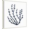 image:imageKate and Laurel Coastal Coral Seaweed Botanical 6 Framed Canvas Wall Art by The Creative Bunch Studio 22 x 22 Sylvie Beaded White Modern Contemporary Abstract Beach Nature Art for Wall Decor
