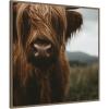 image:imageKate and Laurel Framed Canvas Wall Art Print Close Up of Scottish Highland Cattle Baby SQ by Michael Schauer 30 x 30 Sylvie Walnut Frame Rustic Farmhouse Animal Art for Wall Decor