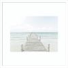 image:imageKate and Laurel Framed Wall Art Print Beach 5s by Amy Peterson 26 x 26 Florence Silver Frame Coastal Beach Art for Wall DecorSvelte White