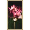 image:imageKate and Laurel Framed Wall Art Print Midnight Lotus Flower by Stephanie Klatt 22 x 42 Florence Gold Frame Modern Contemporary Flower Art for Wall Decor