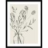 image:imageKate and Laurel Framed Wall Art Print SB Protea Sketch No 2 by Sara Berrenson 19 x 25 Svelte Noir Black Frame Modern Contemporary Still Life Art for Wall DecorSvelte Noir Black