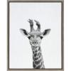 image:imageKate and Laurel Sylvie Black and White Baby Giraffe Framed Canvas Wall Art by Simon Te Tai 18x24 Gray Cute Animal Home Decor for Living Room Bedroom Bathroom Or Nursery