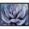 image:imageKate and Laurel Sylvie Violet Cactus Succulent Lavender Purple Framed Canvas Art by Amy Peterson 18x24 Gray
