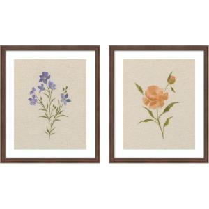 image:imageAQ Simple Blooms 2 Piece Framed Wall Art Print Set by Annie Quigley