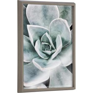 image:imageKate and Laurel Blake Botanical Succulent Plants 3 Framed Printed Glass Wall Art by The Creative Bunch Studio 18x24 Gray Boho Plant Art for Wall