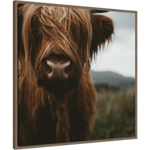 image:imageKate and Laurel Framed Canvas Wall Art Print Close Up of Scottish Highland Cattle Baby SQ by Michael Schauer 30 x 30 Sylvie Walnut Frame Rustic Farmhouse Animal Art for Wall Decor