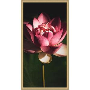image:imageKate and Laurel Framed Wall Art Print Midnight Lotus Flower by Stephanie Klatt 22 x 42 Florence Gold Frame Modern Contemporary Flower Art for Wall Decor