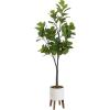 image:imageKate and Laurel Fidmont Faux Fiddle Fig Tree with Gavri Metal Planter Pot 65 FT White and Rustic Brown Potted Artificial Tree Indoor with Realistic Foliage and Added Moss Living Room Fake PlantWhiteRustic Brown