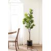 image:imageKate and Laurel Fidmont Faux Fiddle Fig Tree with Gavri Metal Planter Pot 65 FT White and Rustic Brown Potted Artificial Tree Indoor with Realistic Foliage and Added Moss Living Room Fake PlantBlackRustic Brown