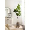 image:imageKate and Laurel Fidmont Faux Fiddle Fig Tree with Gavri Metal Planter Pot 65 FT White and Rustic Brown Potted Artificial Tree Indoor with Realistic Foliage and Added Moss Living Room Fake PlantPewterRustic Brown