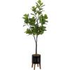 image:imageKate and Laurel Fidmont Faux Fiddle Fig Tree with Gavri Metal Planter Pot 65 FT White and Rustic Brown Potted Artificial Tree Indoor with Realistic Foliage and Added Moss Living Room Fake PlantBlackRustic Brown
