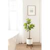 image:imageKate and Laurel Fidmont Faux Fiddle Fig Tree with Gavri Metal Planter Pot 65 FT White and Rustic Brown Potted Artificial Tree Indoor with Realistic Foliage and Added Moss Living Room Fake PlantWhiteRustic Brown