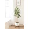 image:imageKate and Laurel Oliveira Faux Olive Tree with Gavri Metal Planter Pot 55 FT White and Rustic Brown Potted Artificial Olive Plant Tree with Realistic Foliage and Moss Fake Plant Living Room DecorWhiteRustic Brown
