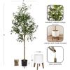 image:imageKate and Laurel Oliveira Faux Olive Tree with Gavri Metal Planter Pot 55 FT White and Rustic Brown Potted Artificial Olive Plant Tree with Realistic Foliage and Moss Fake Plant Living Room DecorWhiteRustic Brown