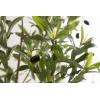 image:imageKate and Laurel Oliveira Faux Olive Tree with Gavri Metal Planter Pot 55 FT White and Rustic Brown Potted Artificial Olive Plant Tree with Realistic Foliage and Moss Fake Plant Living Room DecorWhiteRustic Brown
