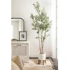 image:imageKate and Laurel Oliveira Faux Olive Tree with Gavri Metal Planter Pot 55 FT White and Rustic Brown Potted Artificial Olive Plant Tree with Realistic Foliage and Moss Fake Plant Living Room DecorWhiteRustic Brown