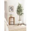 image:imageKate and Laurel Oliveira Faux Olive Tree with Gavri Metal Planter Pot 55 FT White and Rustic Brown Potted Artificial Olive Plant Tree with Realistic Foliage and Moss Fake Plant Living Room DecorWhiteRustic Brown
