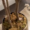image:imageKate and Laurel Oliveira Faux Olive Tree with Gavri Metal Planter Pot 55 FT White and Rustic Brown Potted Artificial Olive Plant Tree with Realistic Foliage and Moss Fake Plant Living Room DecorWhiteRustic Brown