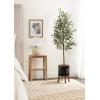 image:imageKate and Laurel Oliveira Faux Olive Tree with Gavri Metal Planter Pot 55 FT White and Rustic Brown Potted Artificial Olive Plant Tree with Realistic Foliage and Moss Fake Plant Living Room DecorBlackRustic Brown