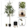 image:imageKate and Laurel Oliveira Faux Olive Tree with Gavri Metal Planter Pot 55 FT White and Rustic Brown Potted Artificial Olive Plant Tree with Realistic Foliage and Moss Fake Plant Living Room DecorBlackRustic Brown