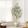 image:imageLYERSE Olive Trees Artificial Indoor  Faux Olive Tree 7ft with Olive Branches and Lifelike Fruits  Fake Olive Tree 7 Feet for Modern Home Office House Living Room Decor Indoor7ft