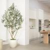 image:imageLYERSE Olive Trees Artificial Indoor  Faux Olive Tree 7ft with Olive Branches and Lifelike Fruits  Fake Olive Tree 7 Feet for Modern Home Office House Living Room Decor Indoor8ft