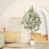 image:imageLYERSE Olive Trees Artificial Indoor  Faux Olive Tree 7ft with Olive Branches and Lifelike Fruits  Fake Olive Tree 7 Feet for Modern Home Office House Living Room Decor Indoor8ft