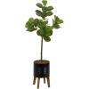 image:imageKate and Laurel Fidmont Faux Fiddle Fig Tree with Gavri Metal Planter Pot 65 FT White and Rustic Brown Potted Artificial Tree Indoor with Realistic Foliage and Added Moss Living Room Fake PlantBlackRustic Brown