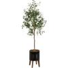 image:imageKate and Laurel Oliveira Faux Olive Tree with Gavri Metal Planter Pot 55 FT White and Rustic Brown Potted Artificial Olive Plant Tree with Realistic Foliage and Moss Fake Plant Living Room DecorBlackRustic Brown