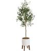 image:imageKate and Laurel Oliveira Faux Olive Tree with Gavri Metal Planter Pot 55 FT White and Rustic Brown Potted Artificial Olive Plant Tree with Realistic Foliage and Moss Fake Plant Living Room DecorWhiteRustic Brown
