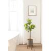 image:imageKate and Laurel Fidmont Faux Fiddle Fig Tree with Gavri Metal Planter Pot 4 FT Silver and Rustic Brown Potted Artificial Tree Indoor with Realistic Foliage and Added Moss Living Room Fake Plant4ft 7in