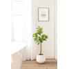 image:imageKate and Laurel Fidmont Faux Fiddle Fig Tree with Gavri Metal Planter Pot 4 FT Silver and Rustic Brown Potted Artificial Tree Indoor with Realistic Foliage and Added Moss Living Room Fake Plant3ft 11in