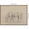 image:imageKate and Laurel Framed Canvas Wall Art Print Horse Grazing by Sawrey Gilpin by Nostalgia Prints 38 x 28 Sylvie Walnut Frame Traditional Animal Art for Wall Decor