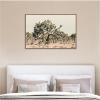 image:imageKate and Laurel Framed Canvas Wall Art Print Joshua Tree No 1 by Alicia Bock 41 x 28 Sylvie Walnut Frame Rustic Farmhouse Landscape Art for Wall Decor