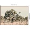 image:imageKate and Laurel Framed Canvas Wall Art Print Joshua Tree No 1 by Alicia Bock 41 x 28 Sylvie Walnut Frame Rustic Farmhouse Landscape Art for Wall Decor