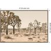 image:imageKate and Laurel Framed Canvas Wall Art Print Joshua Tree No 2 by Alicia Bock 41 x 28 Sylvie Walnut Frame Rustic Farmhouse Landscape Art for Wall Decor