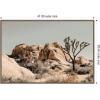 image:imageKate and Laurel Framed Canvas Wall Art Print Joshua Tree No 3 by Alicia Bock 41 x 28 Sylvie Walnut Frame Rustic Farmhouse Landscape Art for Wall Decor