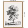 image:imageKate and Laurel Jean Victor Bertin Study of a Tree 1816 Framed Canvas Wall Art by The Art Institute of Chicago 18 x 24 Sylvie Natural Traditional Landscapes Nature Art for Wall Decor Living Room